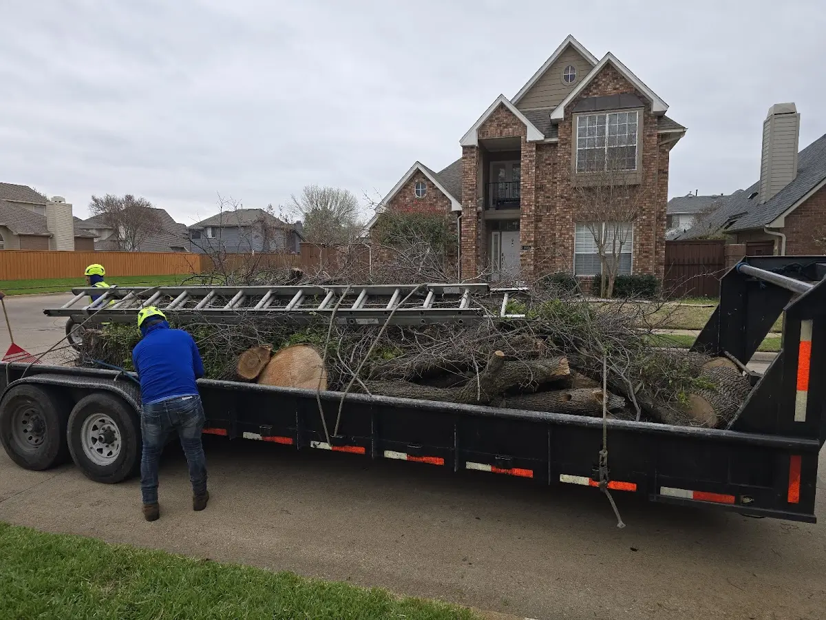 Expert Tree Removal with proper safety equipment in Tallapoosa